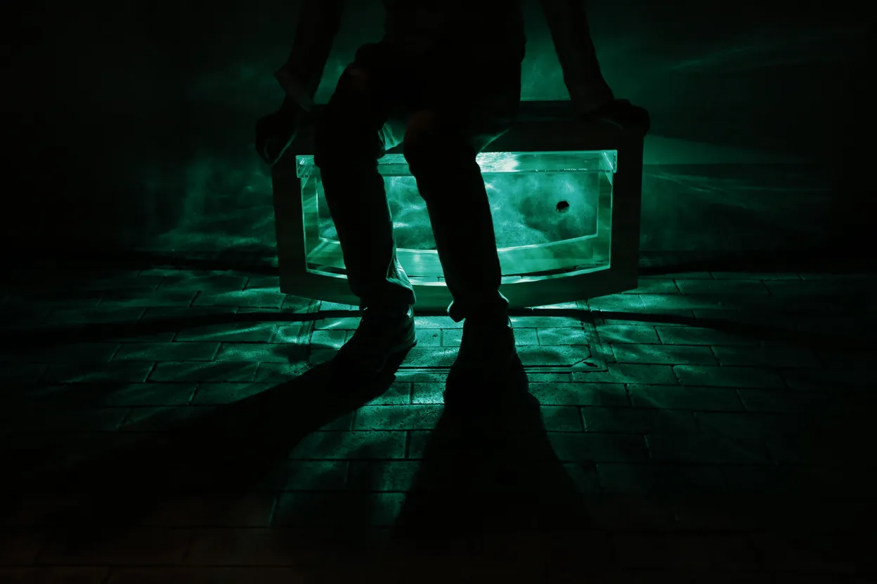 ゼロバイゼロについて