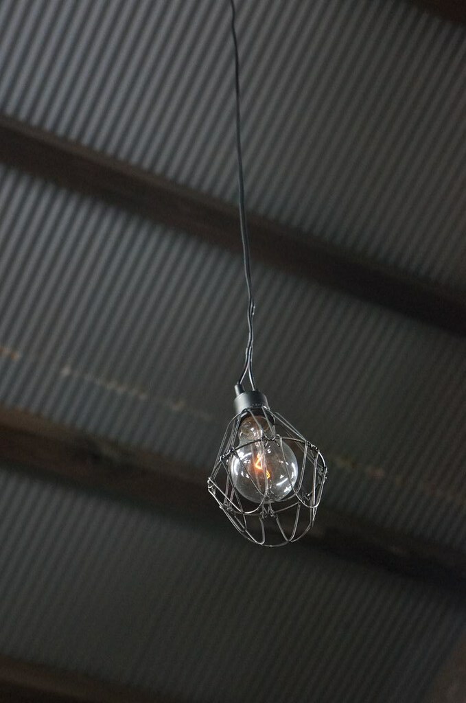 Brilliant Noise in Train