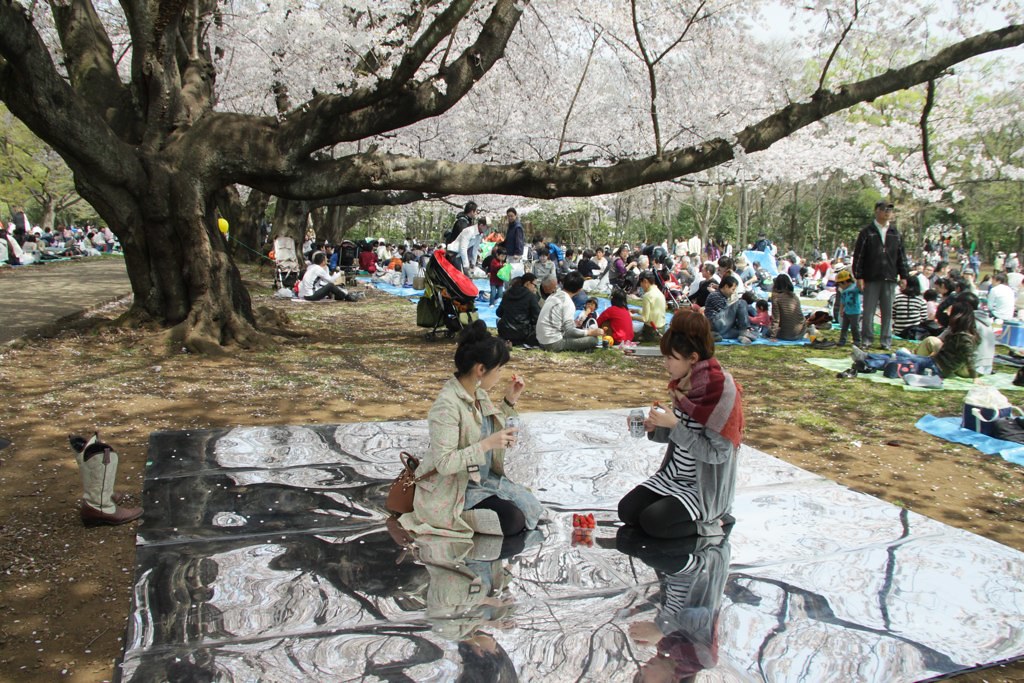 桜を見おろす会（お花見インスタレーション）