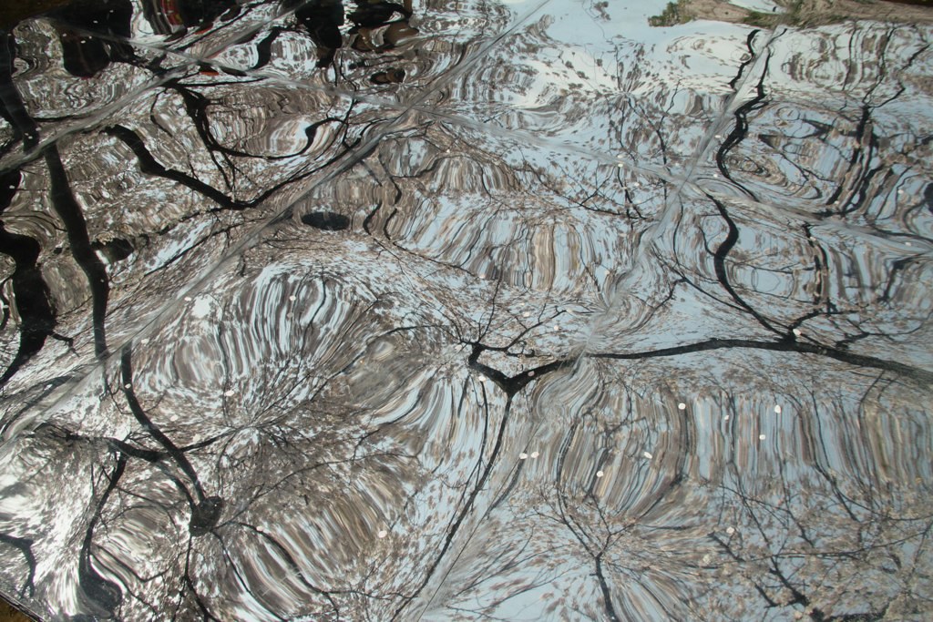 桜を見おろす会（お花見インスタレーション）