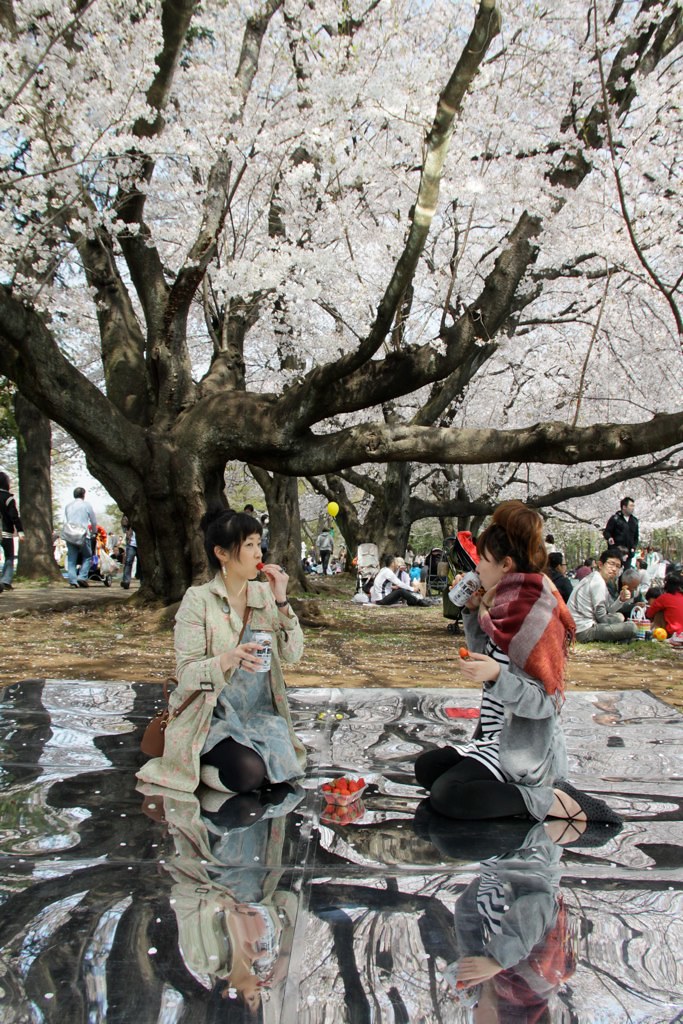 桜を見おろす会（お花見インスタレーション）