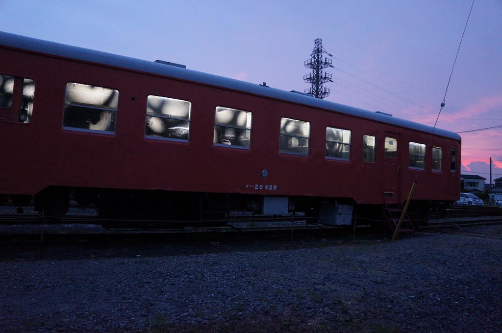 White Dots Train