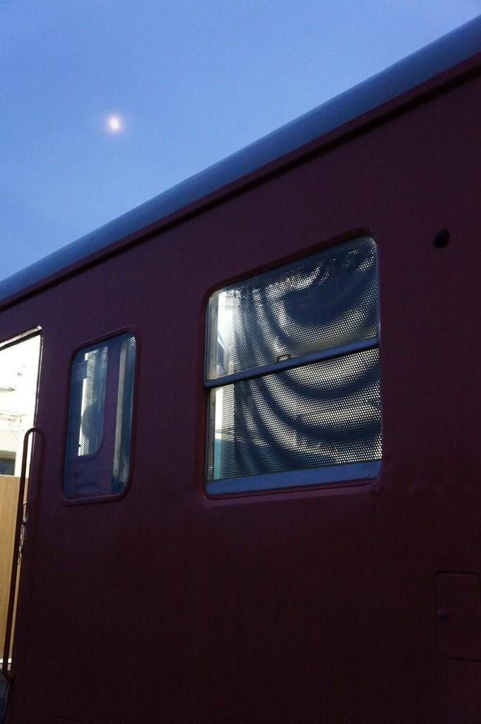 White Dots Train