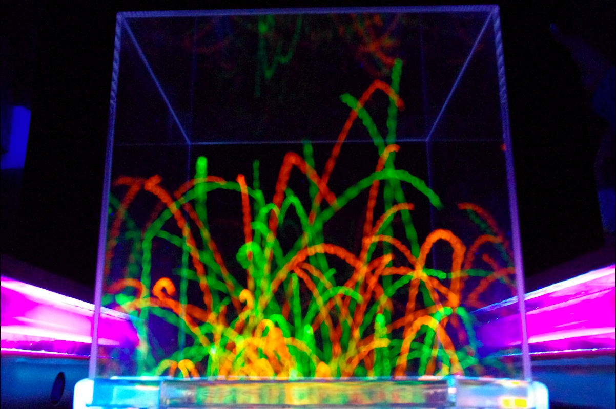 Installation Exhibition at discommunication