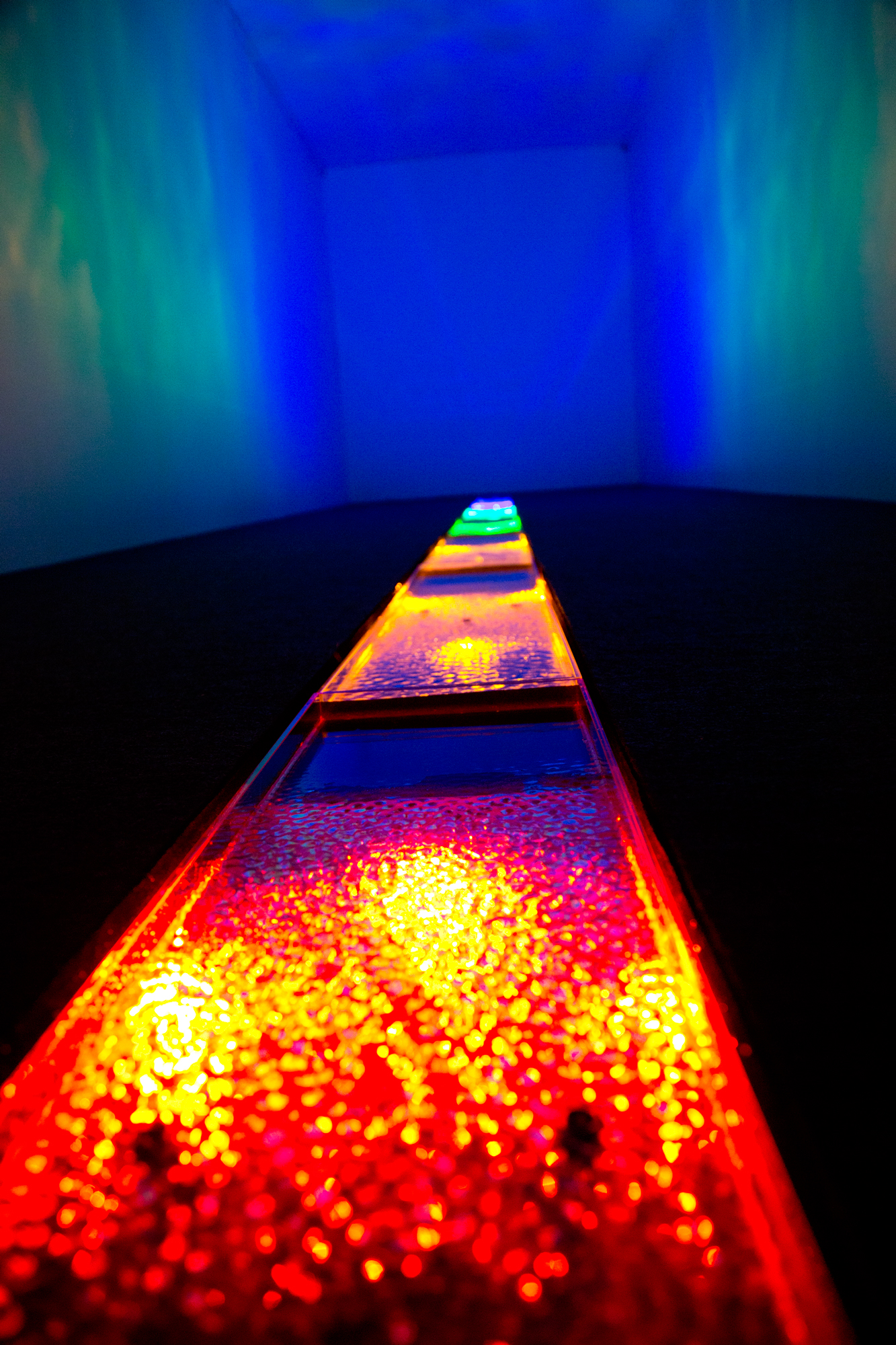 海に咲く虹の花