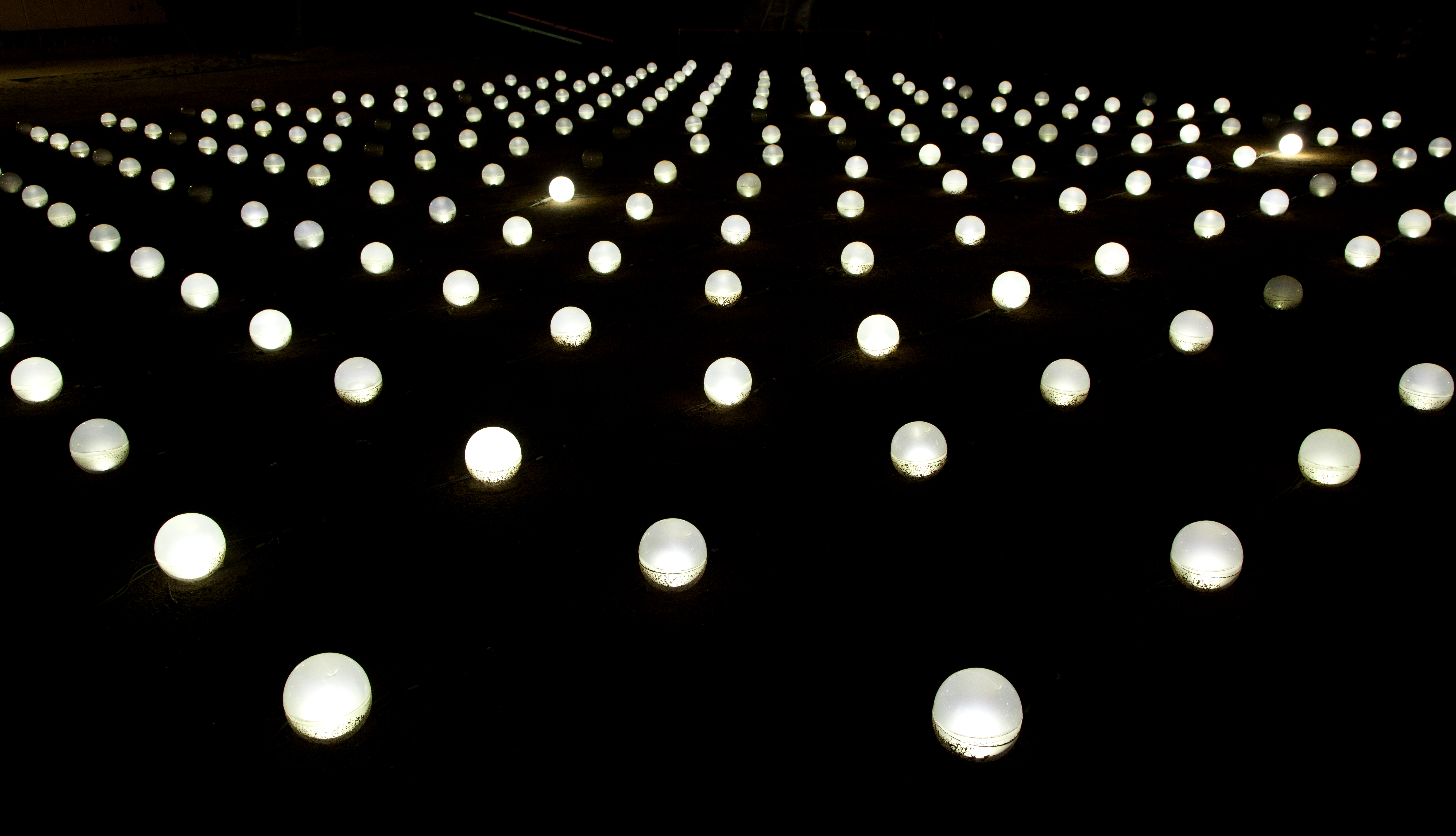 ワールドビジネスサテライト「トレたま」にて紹介