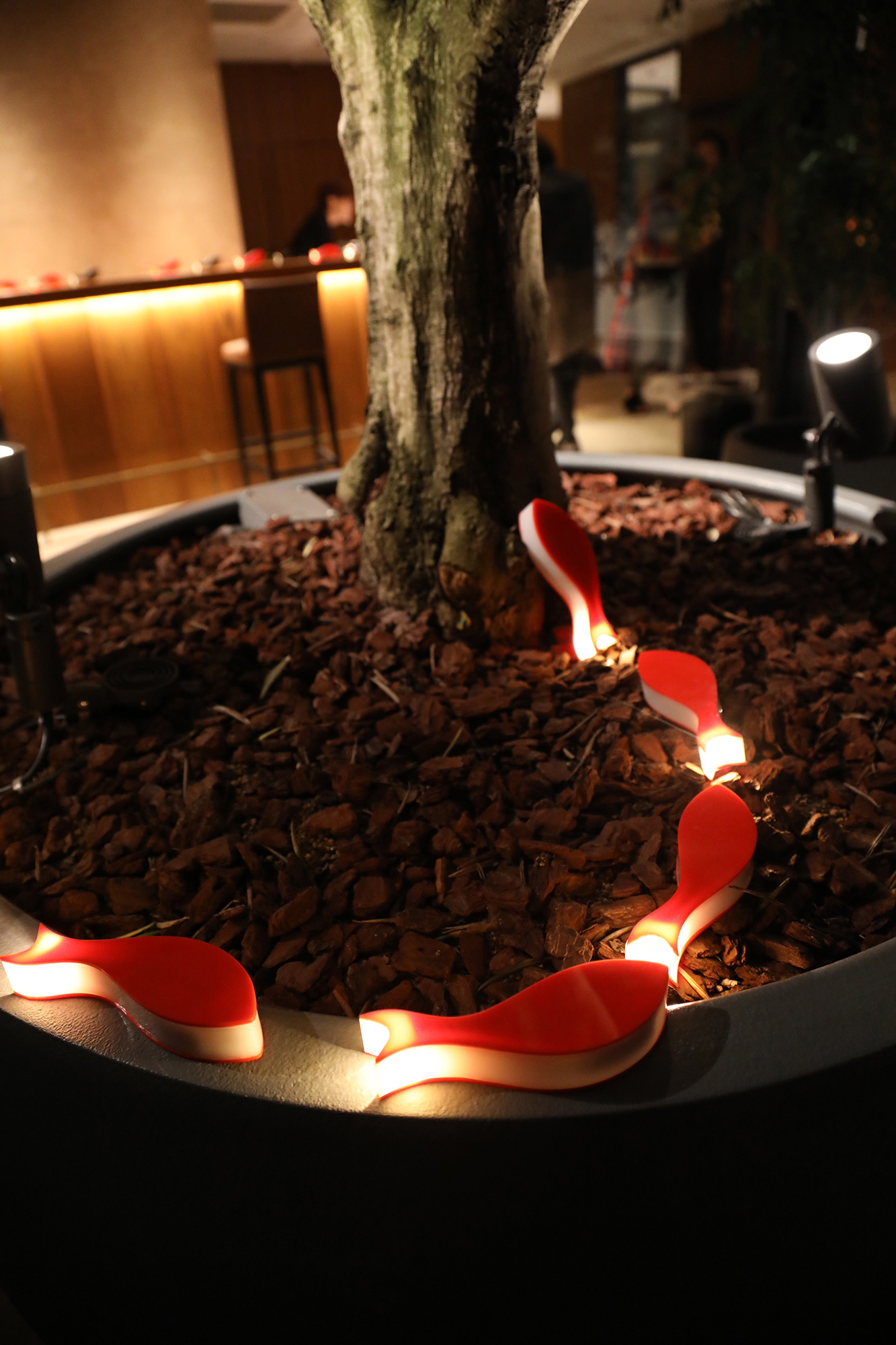 Fish（フィッシュ）