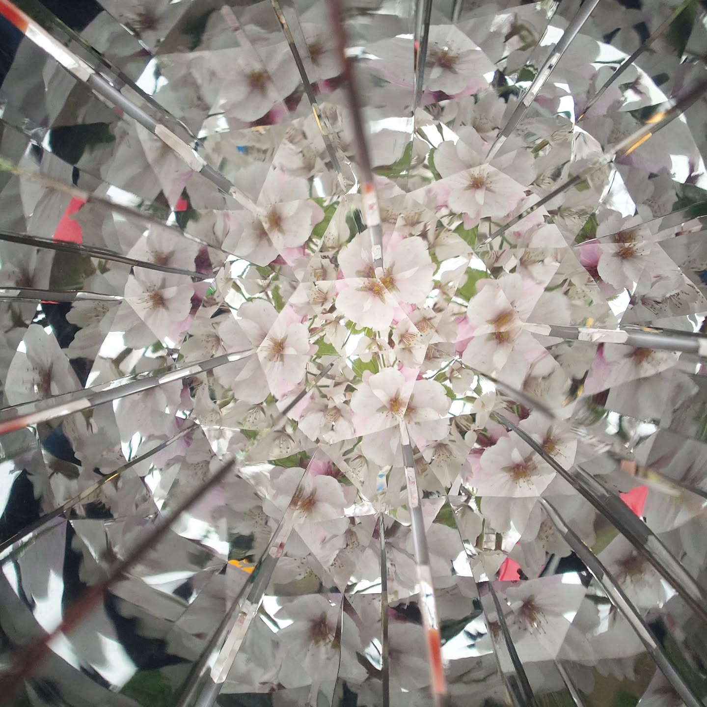 KALEIDO LINK（カレイドリンク）